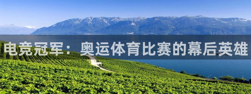 电竞冠军：奥运体育比赛的幕后英雄
