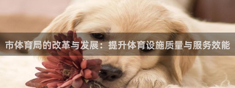 市体育局的改革与发展：提升体育设施质量与服务效能