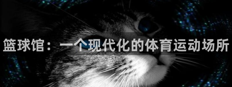 篮球馆：一个现代化的体育运动场所