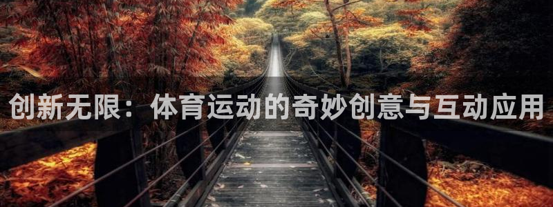 创新无限：体育运动的奇妙创意与互动应用