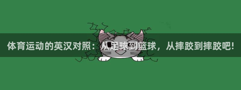 体育运动的英汉对照：从足球到篮球，从摔跤到摔跤吧!