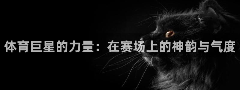 体育巨星的力量：在赛场上的神韵与气度