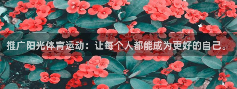 推广阳光体育运动：让每个人都能成为更好的自己。