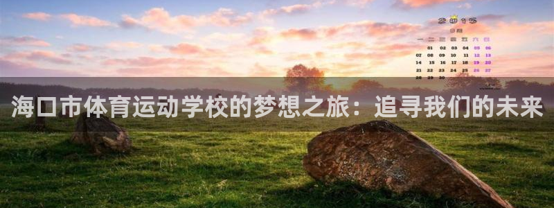 海口市体育运动学校的梦想之旅：追寻我们的未来
