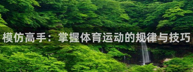 模仿高手：掌握体育运动的规律与技巧