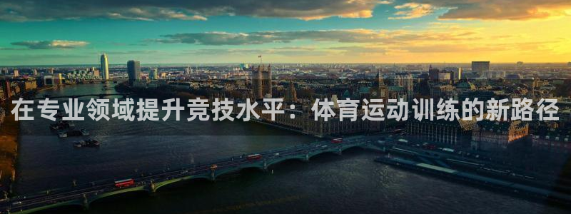 在专业领域提升竞技水平：体育运动训练的新路径