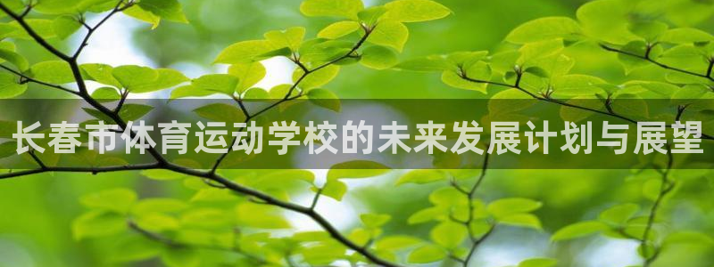 长春市体育运动学校的未来发展计划与展望