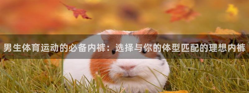男生体育运动的必备内裤：选择与你的体型匹配的理想内裤