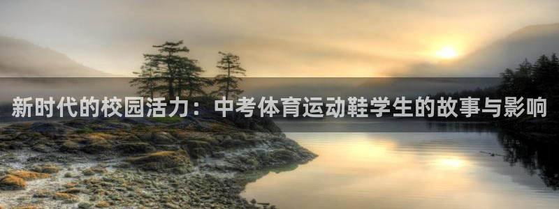 新时代的校园活力：中考体育运动鞋学生的故事与影响