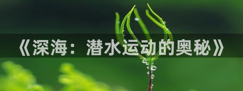 《深海：潜水运动的奥秘》