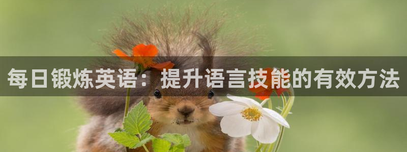 每日锻炼英语：提升语言技能的有效方法