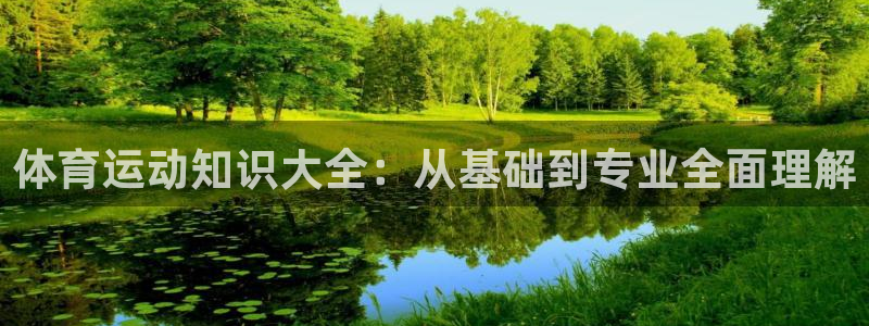 体育运动知识大全：从基础到专业全面理解