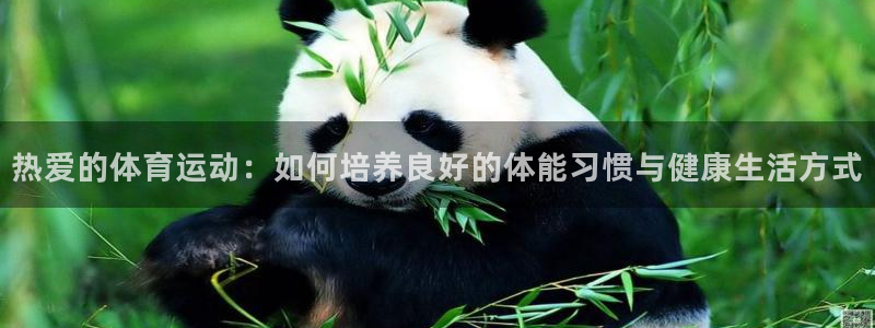热爱的体育运动：如何培养良好的体能习惯与健康生活方式
