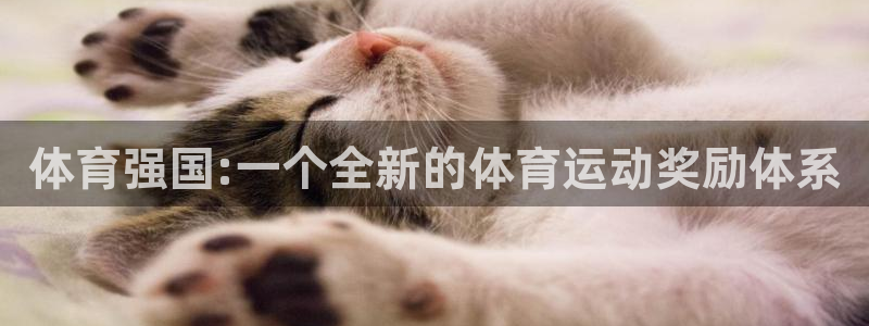 体育强国:一个全新的体育运动奖励体系