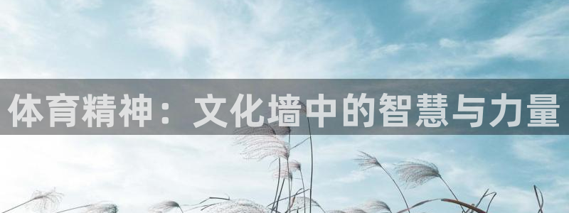 体育精神：文化墙中的智慧与力量