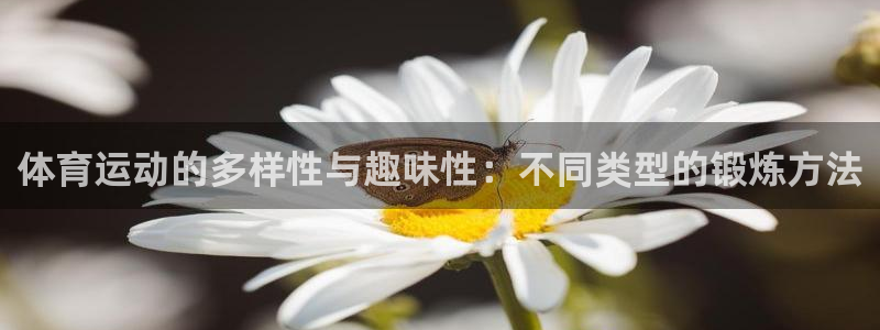 体育运动的多样性与趣味性：不同类型的锻炼方法