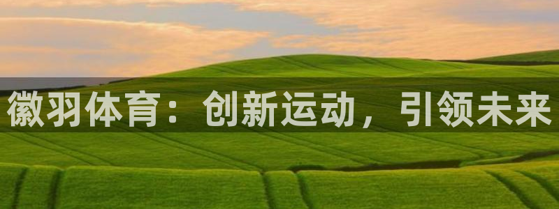 徽羽体育：创新运动，引领未来