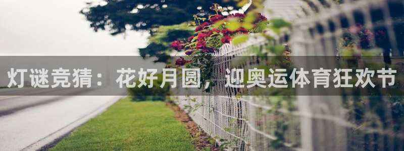 灯谜竞猜：花好月圆，迎奥运体育狂欢节