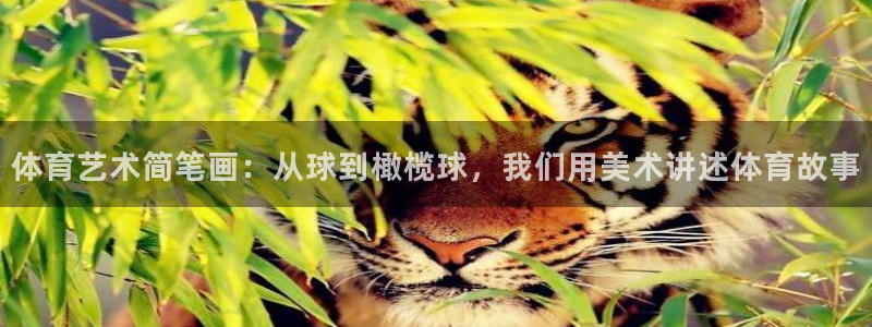 体育艺术简笔画：从球到橄榄球，我们用美术讲述体育故事