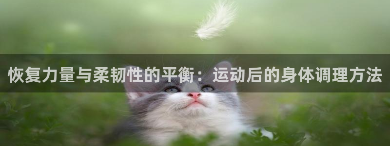 恢复力量与柔韧性的平衡：运动后的身体调理方法