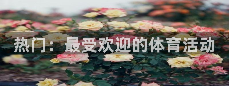 热门：最受欢迎的体育活动