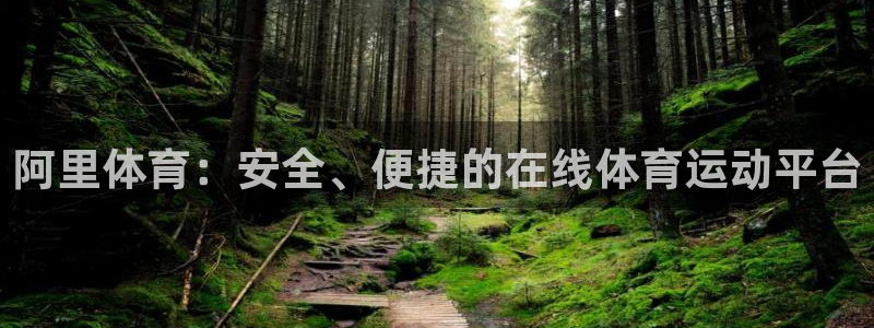阿里体育：安全、便捷的在线体育运动平台