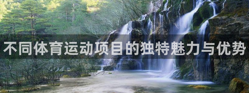 不同体育运动项目的独特魅力与优势