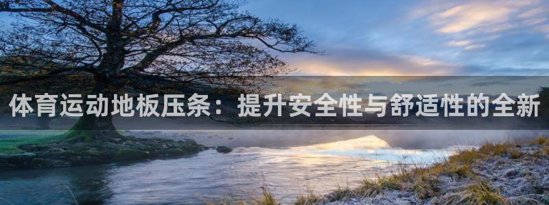 体育运动地板压条：提升安全性与舒适性的全新