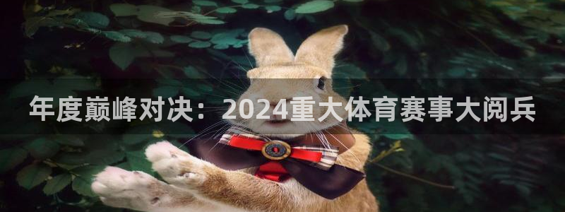 年度巅峰对决：2024重大体育赛事大阅兵