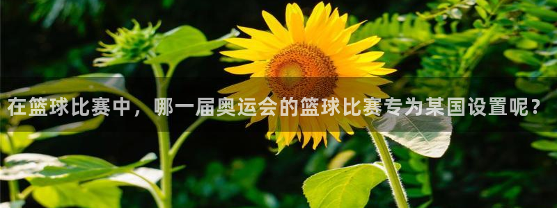 在篮球比赛中，哪一届奥运会的篮球比赛专为某国设置呢？