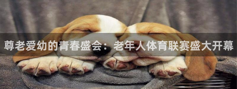 尊老爱幼的青春盛会：老年人体育联赛盛大开幕