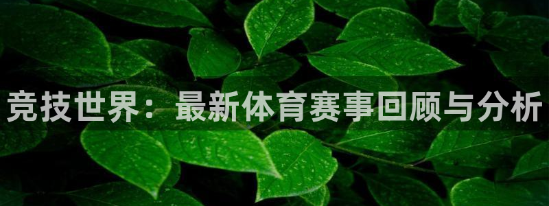 竞技世界：最新体育赛事回顾与分析