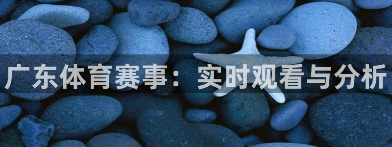 广东体育赛事：实时观看与分析