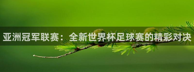 亚洲冠军联赛：全新世界杯足球赛的精彩对决