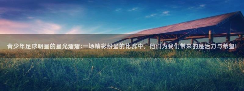 青少年足球明星的星光熠熠:一场精彩纷呈的比赛中，他们为我们带来的是活力与希望!