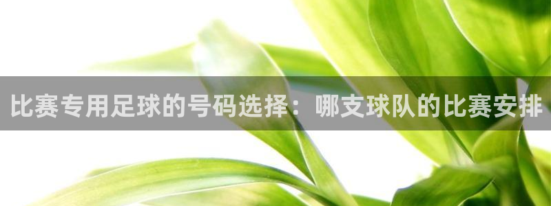 比赛专用足球的号码选择：哪支球队的比赛安排