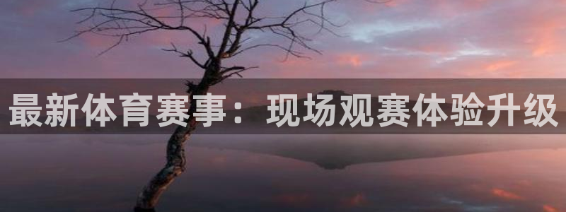 最新体育赛事：现场观赛体验升级