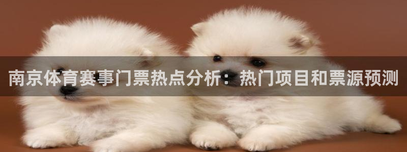 南京体育赛事门票热点分析：热门项目和票源预测