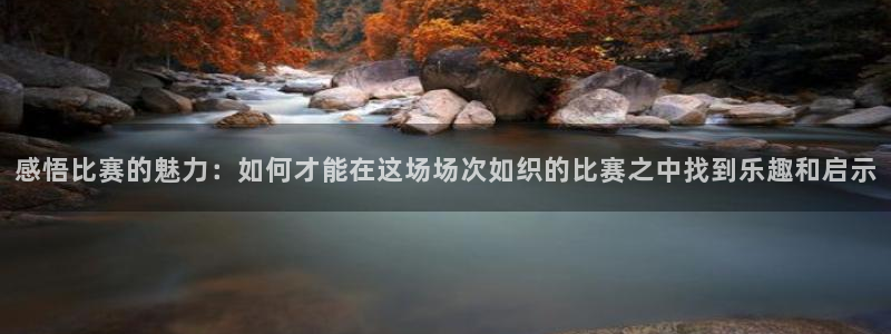 感悟比赛的魅力：如何才能在这场场次如织的比赛之中找到乐趣和启示