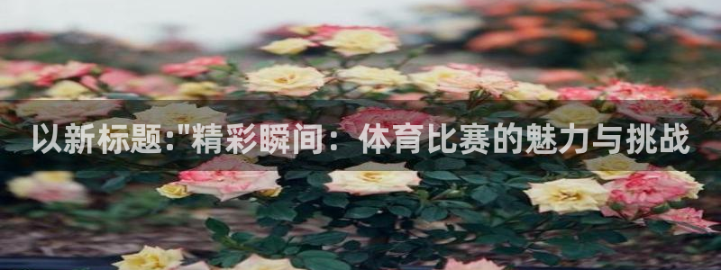 以新标题:\
