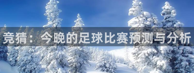 竞猜：今晚的足球比赛预测与分析