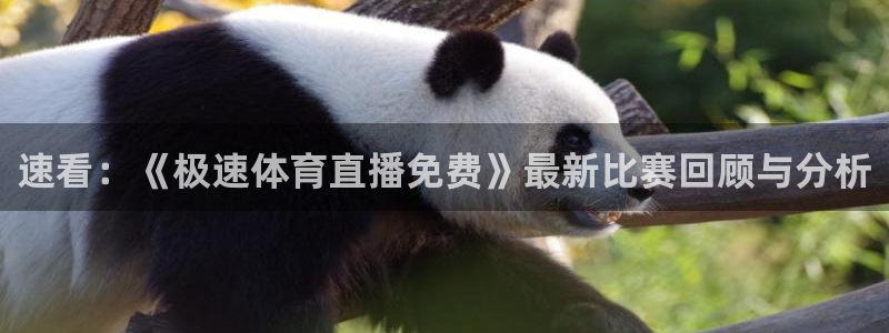 速看：《极速体育直播免费》最新比赛回顾与分析