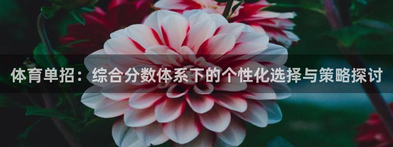 体育单招：综合分数体系下的个性化选择与策略探讨