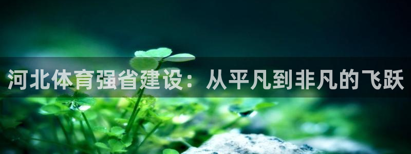河北体育强省建设：从平凡到非凡的飞跃