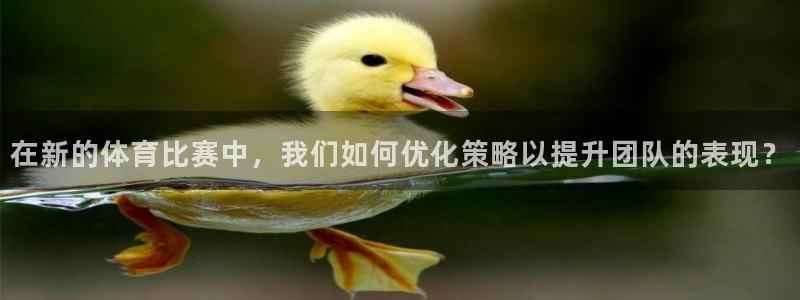 在新的体育比赛中，我们如何优化策略以提升团队的表现？