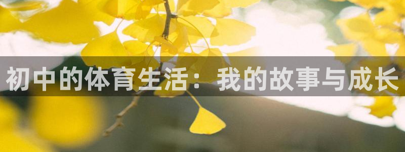 初中的体育生活：我的故事与成长