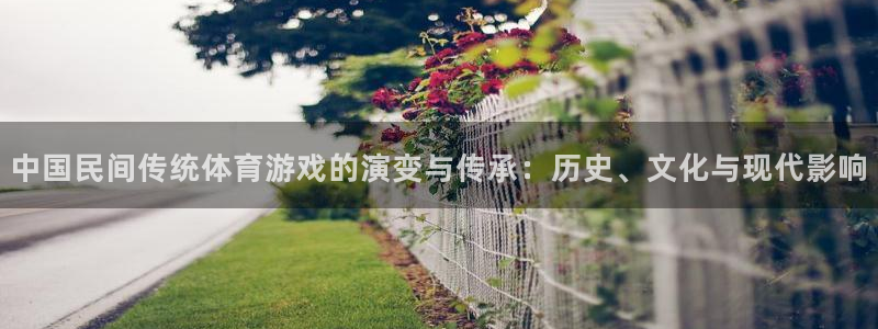 中国民间传统体育游戏的演变与传承：历史、文化与现代影响