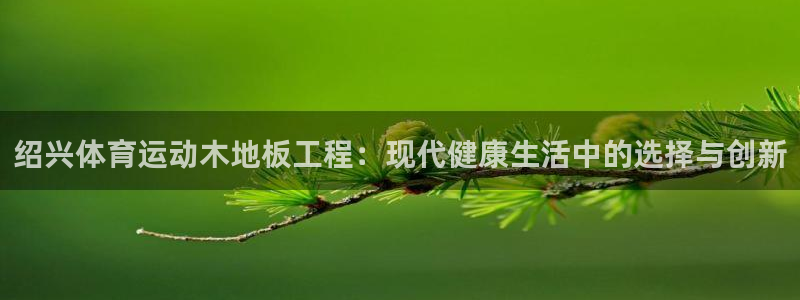 绍兴体育运动木地板工程：现代健康生活中的选择与创新