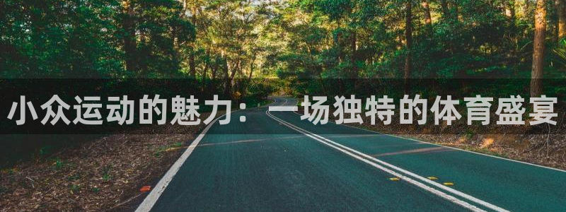 小众运动的魅力：一场独特的体育盛宴
