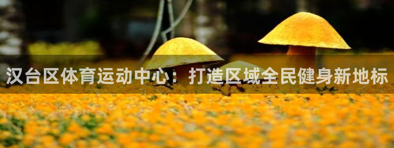 汉台区体育运动中心：打造区域全民健身新地标